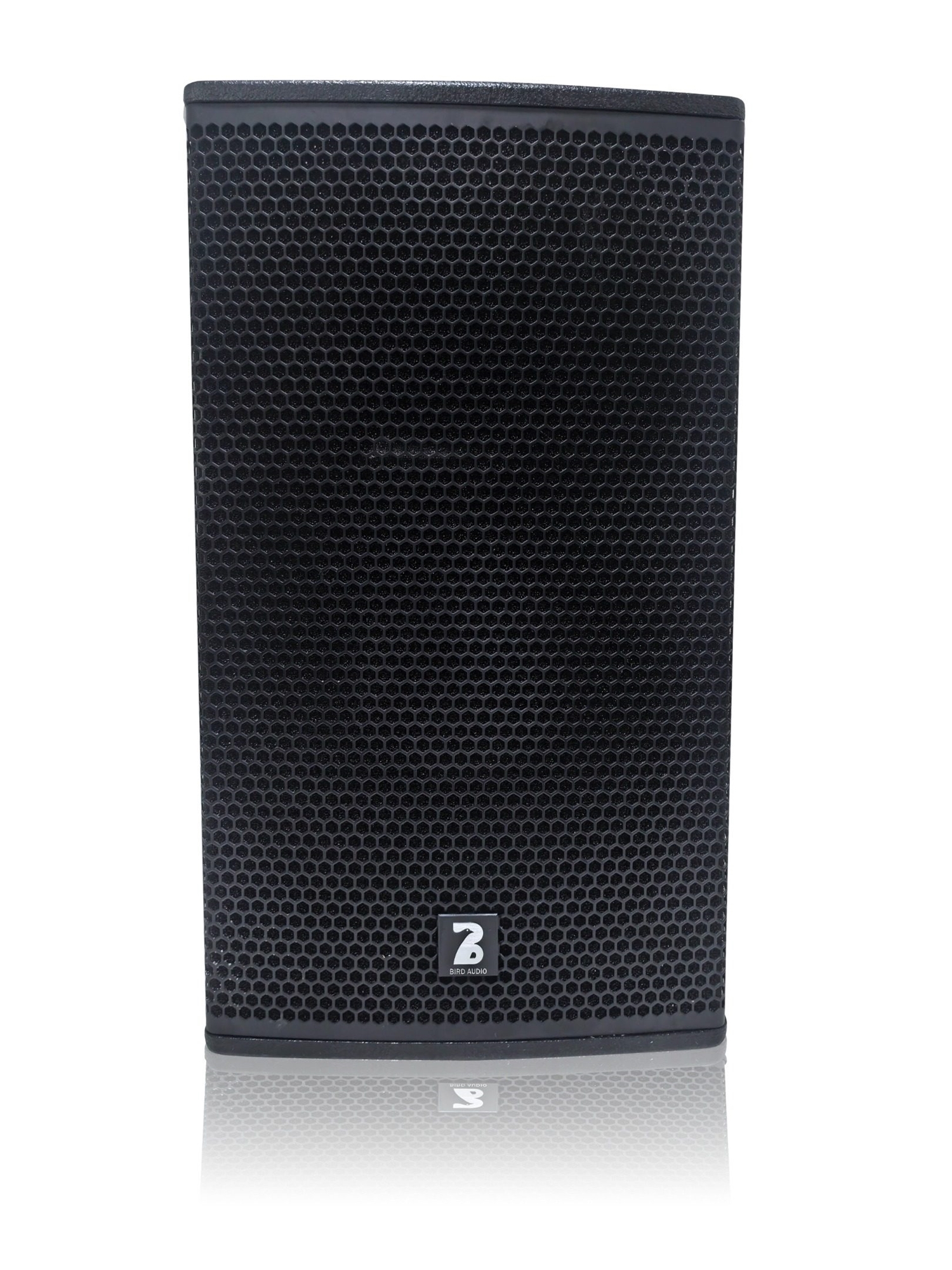 Loa Full 30-modell-BR-12